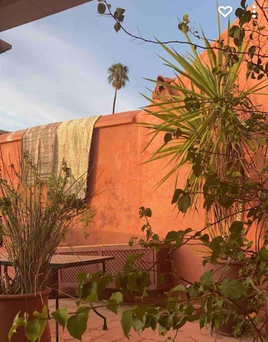 Riad Alghani Marrakesh Extérieur photo