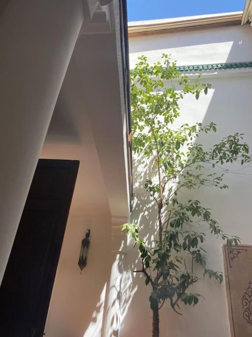 Riad Alghani Marrakesh Extérieur photo
