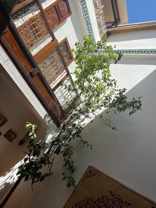 Riad Alghani Marrakesh Extérieur photo